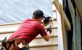 Best Siding Replacement  in Roscoe, TX